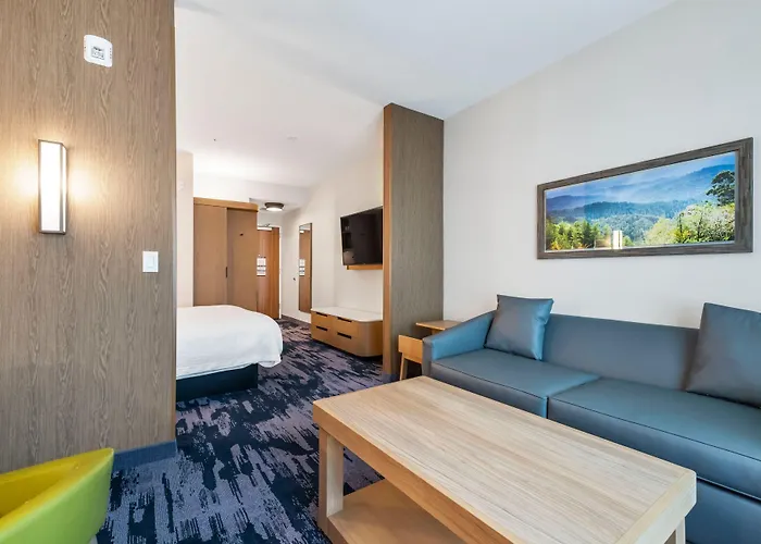 Fairfield By Marriott Inn & Suites San Francisco Airport Oyster Point Area South San Francisco